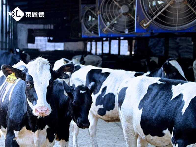 2026年6月果蔬肉類檢測(cè)儀選購(gòu)攻略適配多檢測(cè)場(chǎng)景